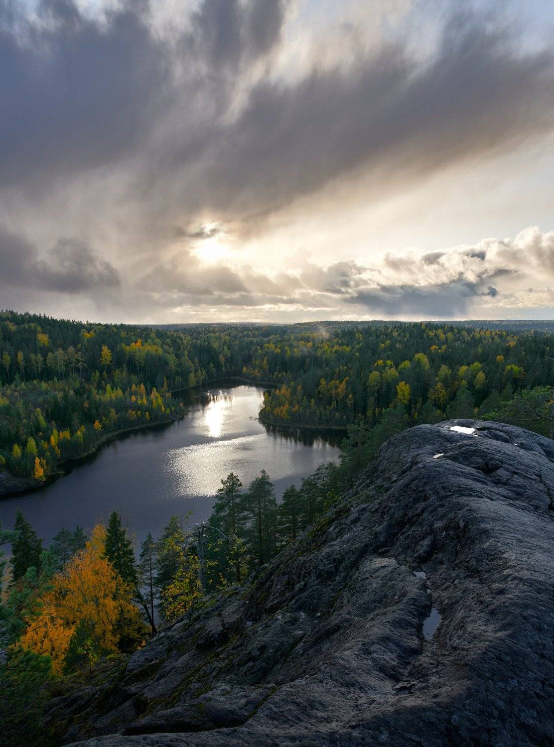 Карелия, осень, озеро "Треугольное", деревья, солнце, Alexander