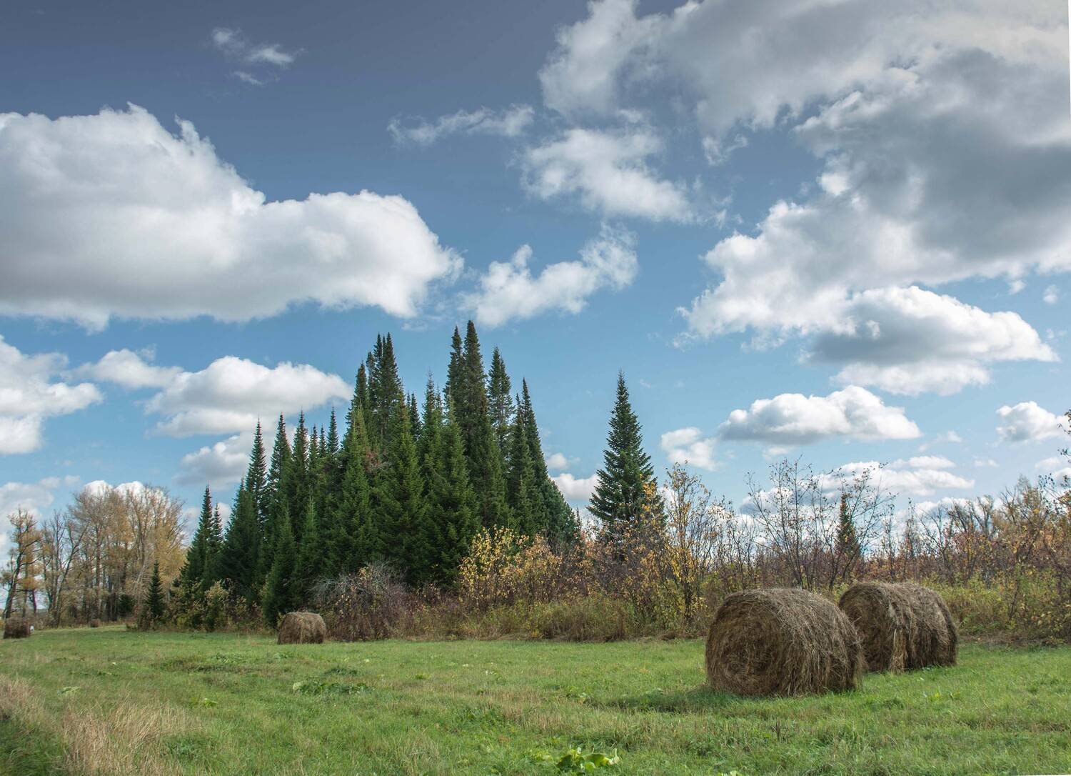 , Михаил Белоусов