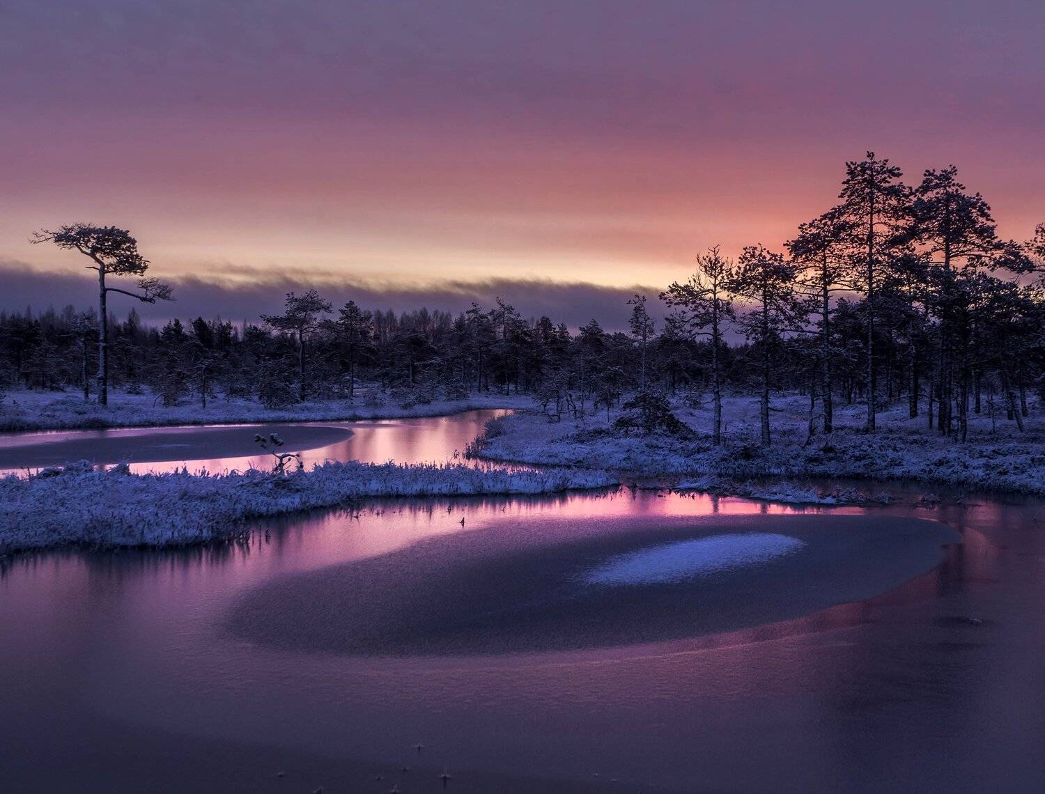 болото, кайф, рассвет ,север ,солнце, свет, закат, облака, отражение, фототур, Павел Ващенков