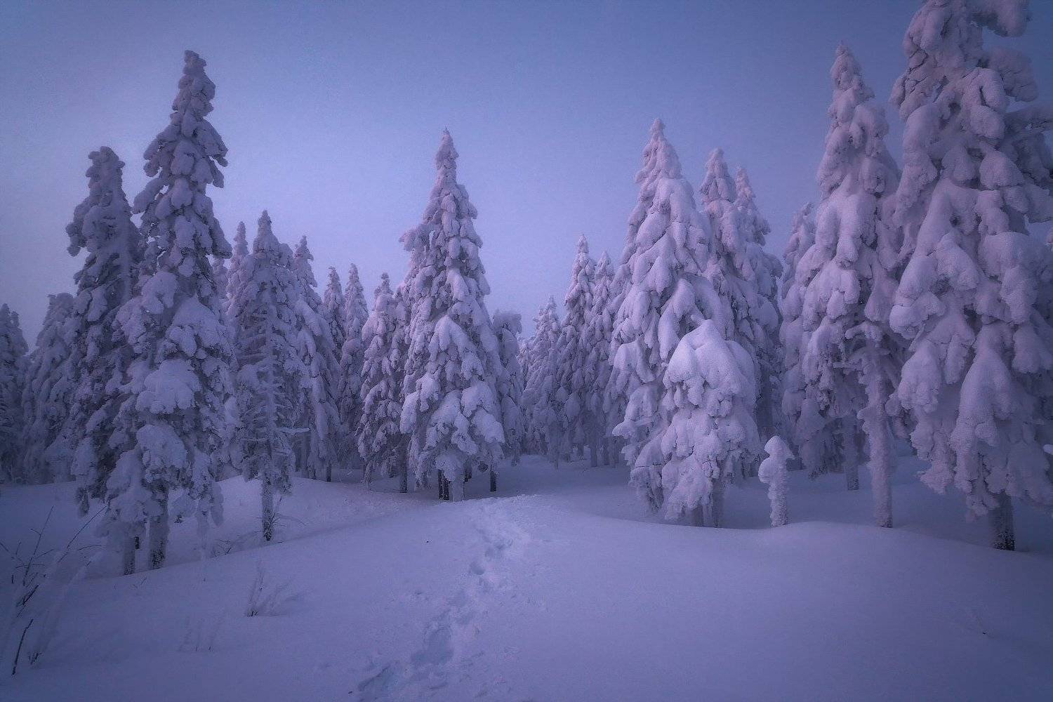 , Владимир Ляпин