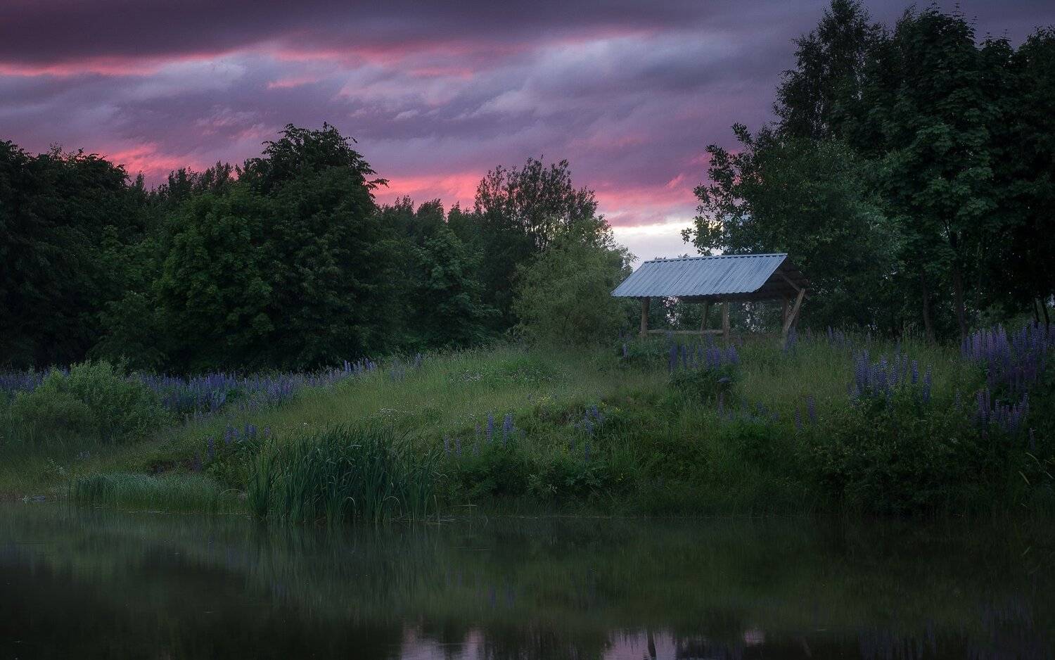 cloud,sky ,summer ,sun ,swamp ,clouds ,evening ,green ,pink ,skyclouds ,summertime ,sunset, закат, облака, болото, лето, минск, беларусь,солнце, Полина Хрол