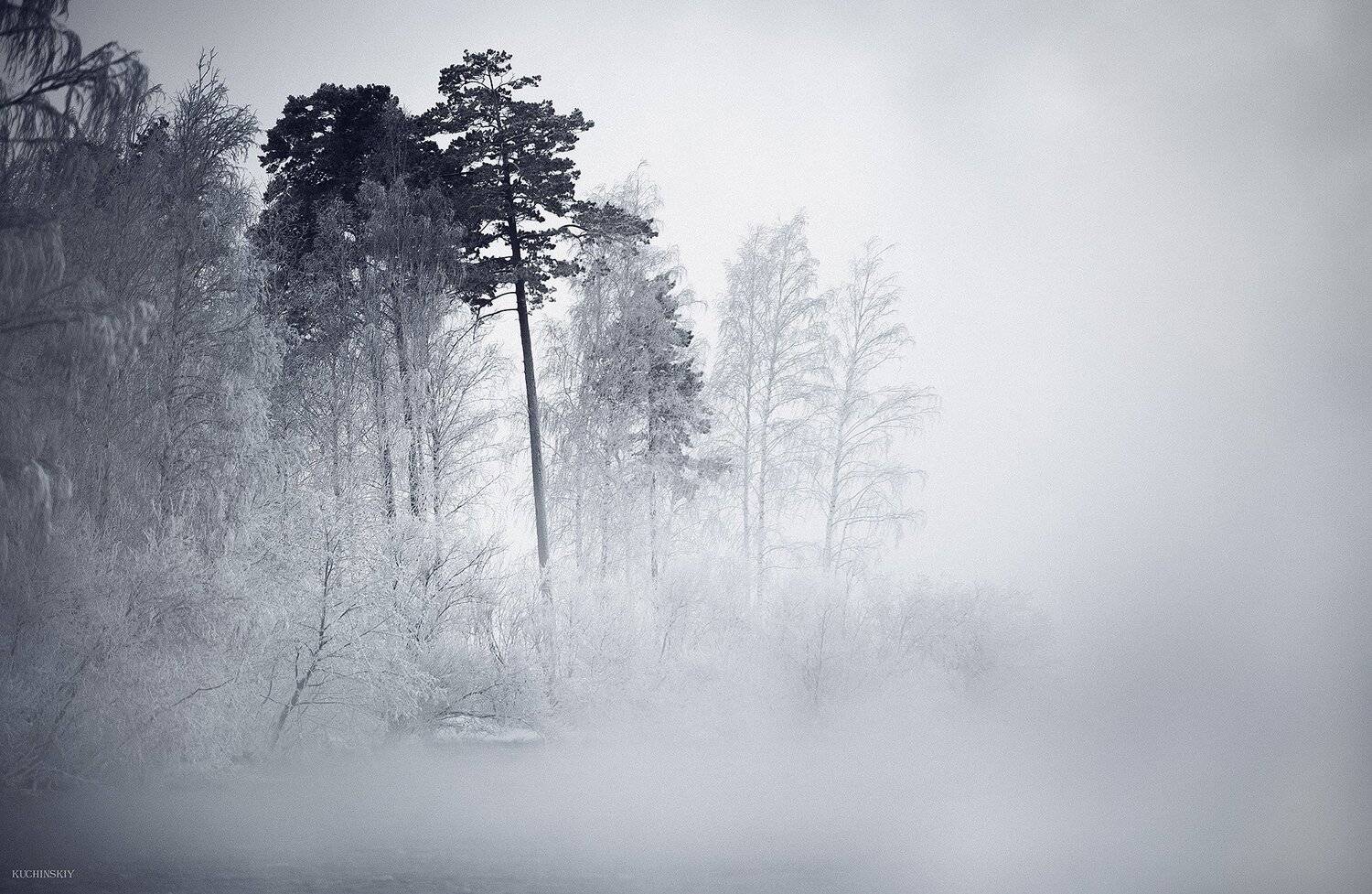 , Валерий Кучинский
