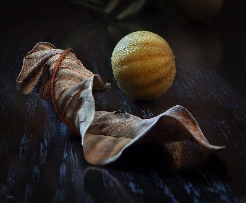 плод, лист Плод и Лист! фото превью