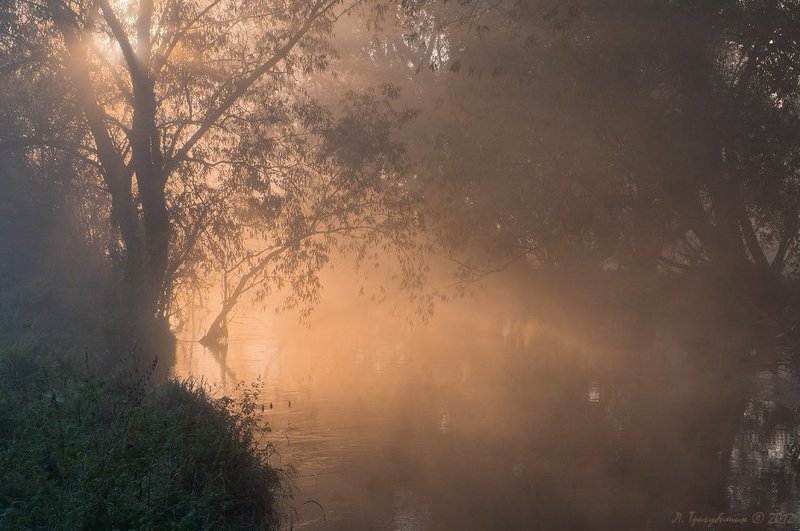 Утренний туман фото превью