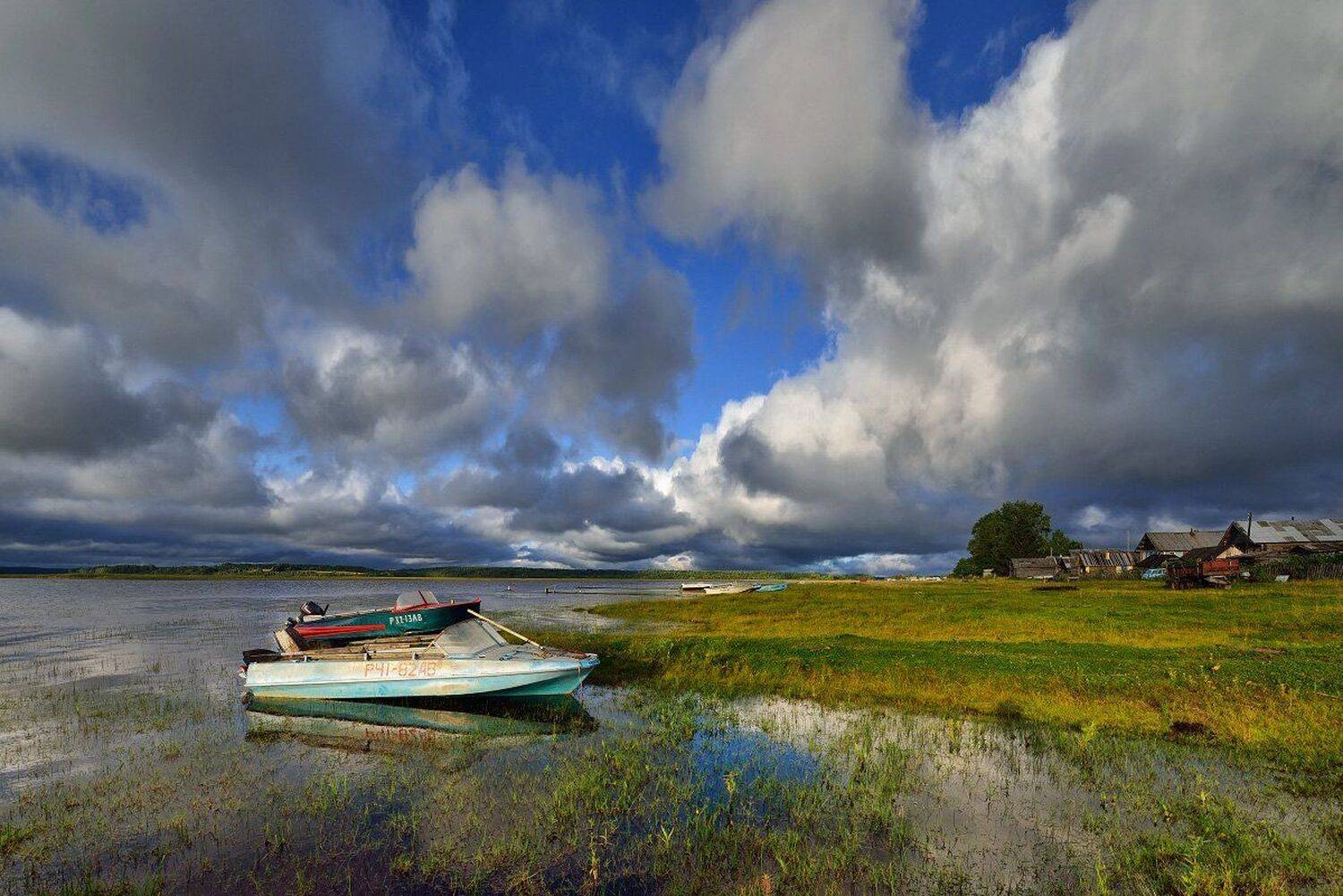 , Максим Евдокимов