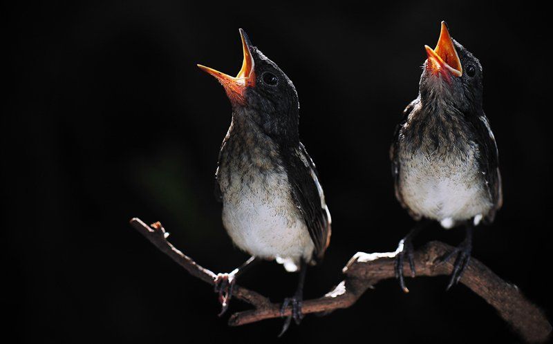 текст песни фото превью