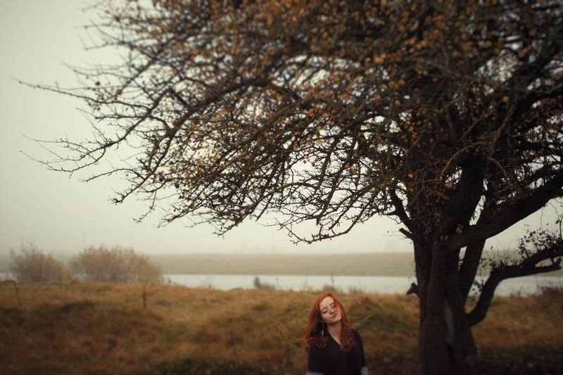 Autumn felling фото превью