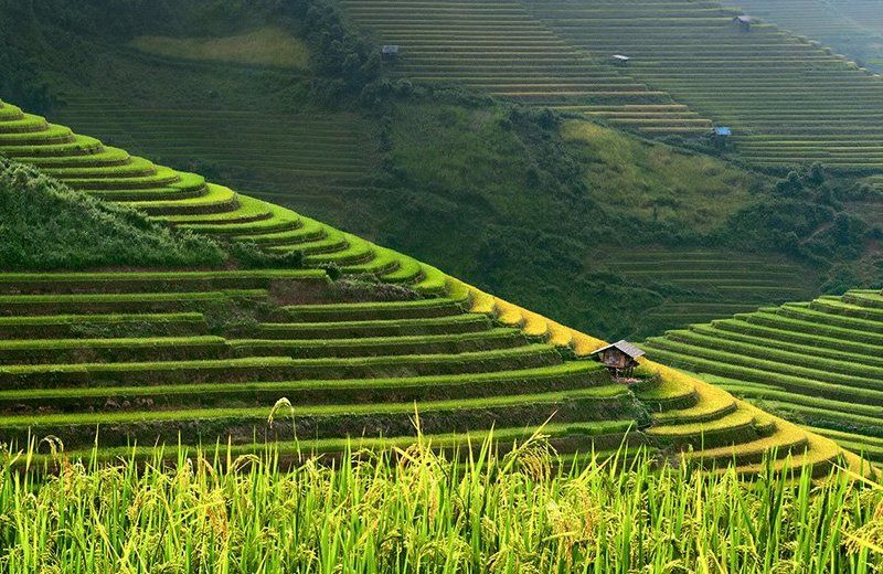 Mucangchai - Вьетнам фото превью