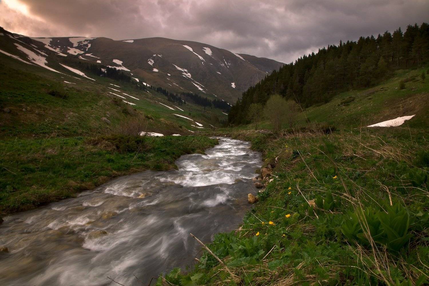 , Ирина Заграничная