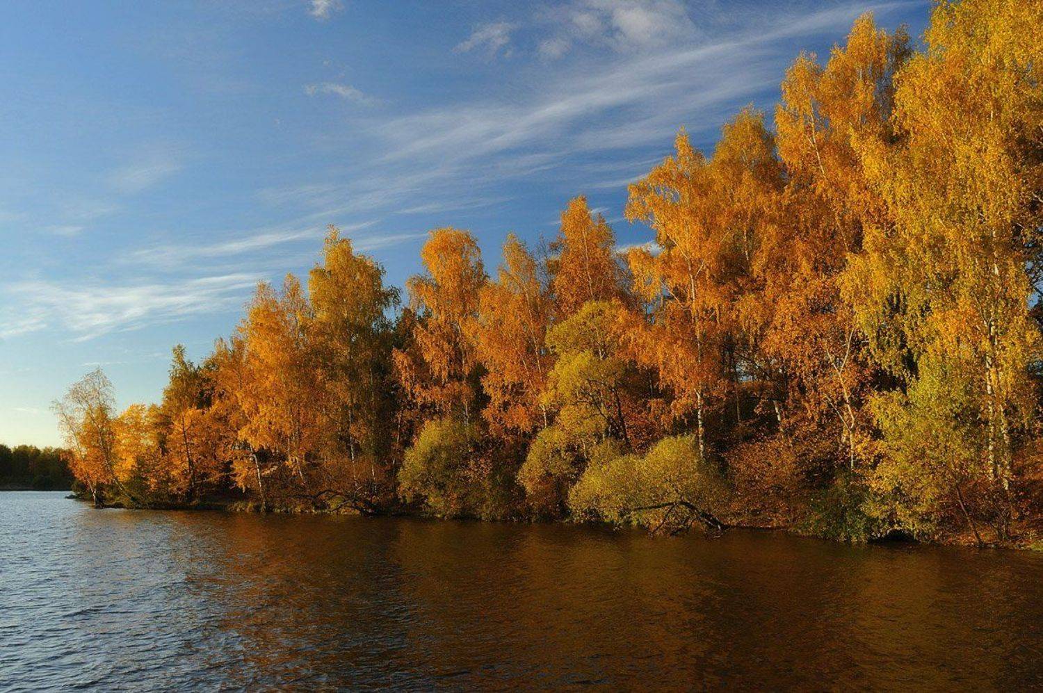 , Сергей Седов