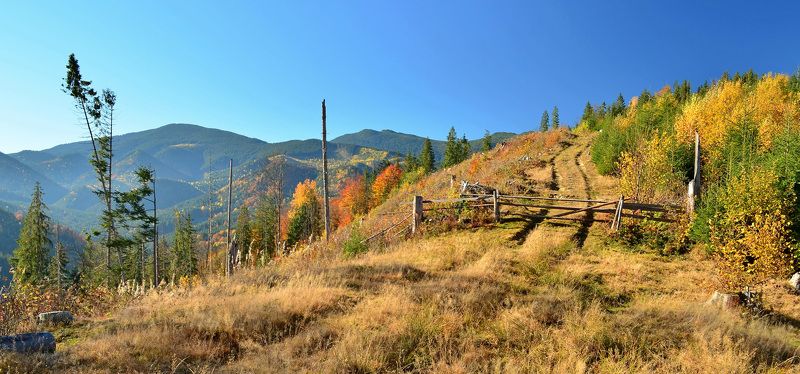 Осінні кольори Карпат фото превью