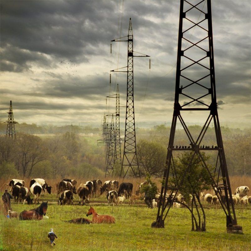 Evening fattening фото превью