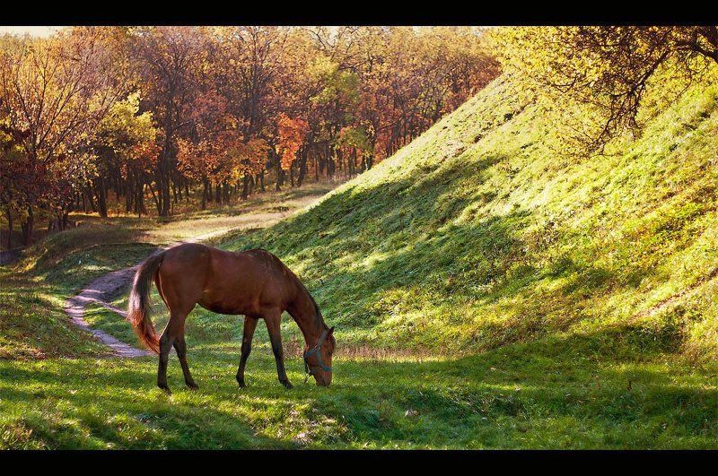 осенняя фото превью
