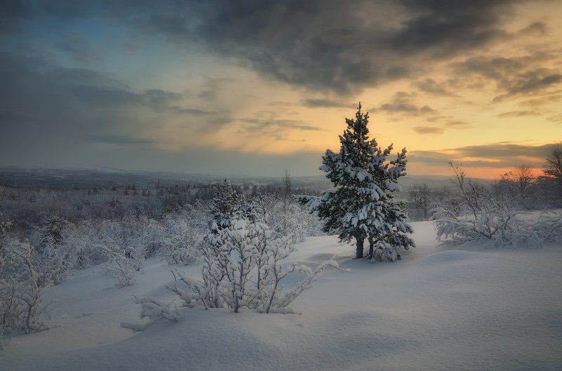 Ждем к выходным... фото превью