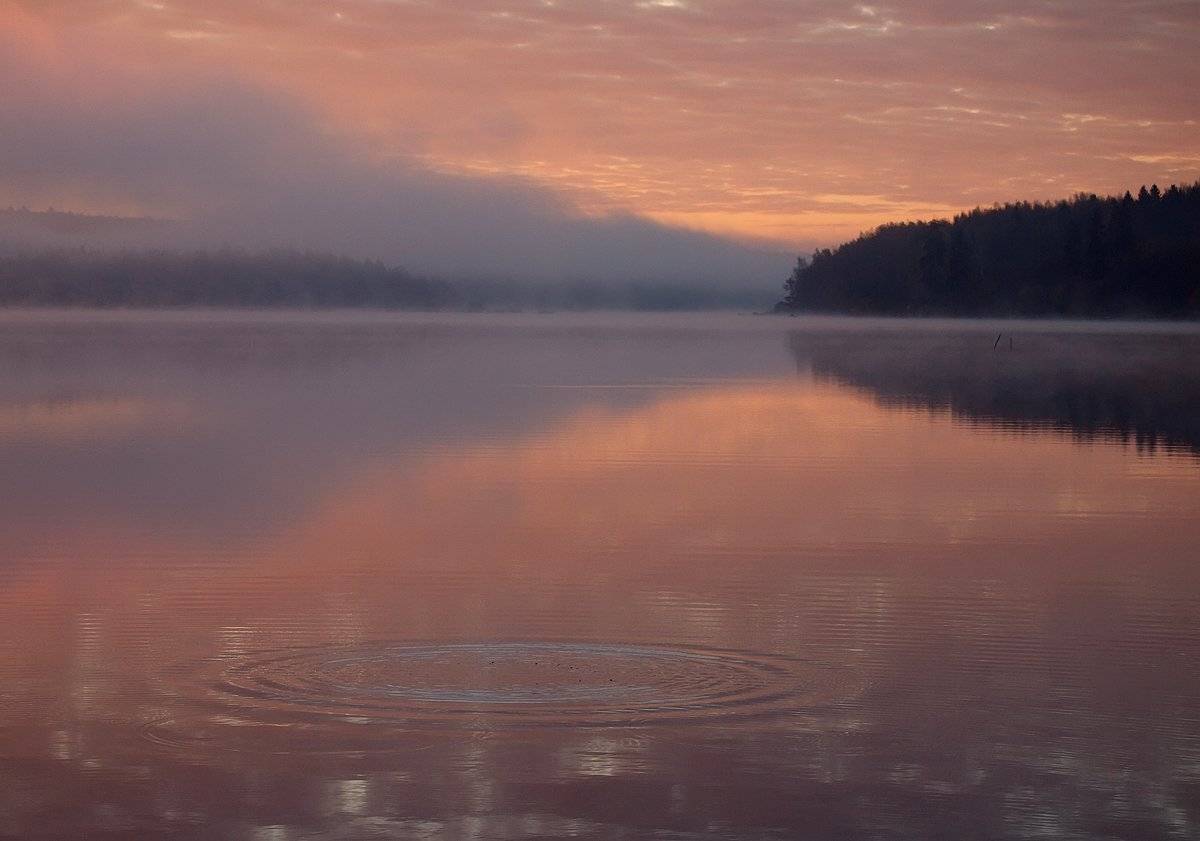 , Владимир Перепечаев