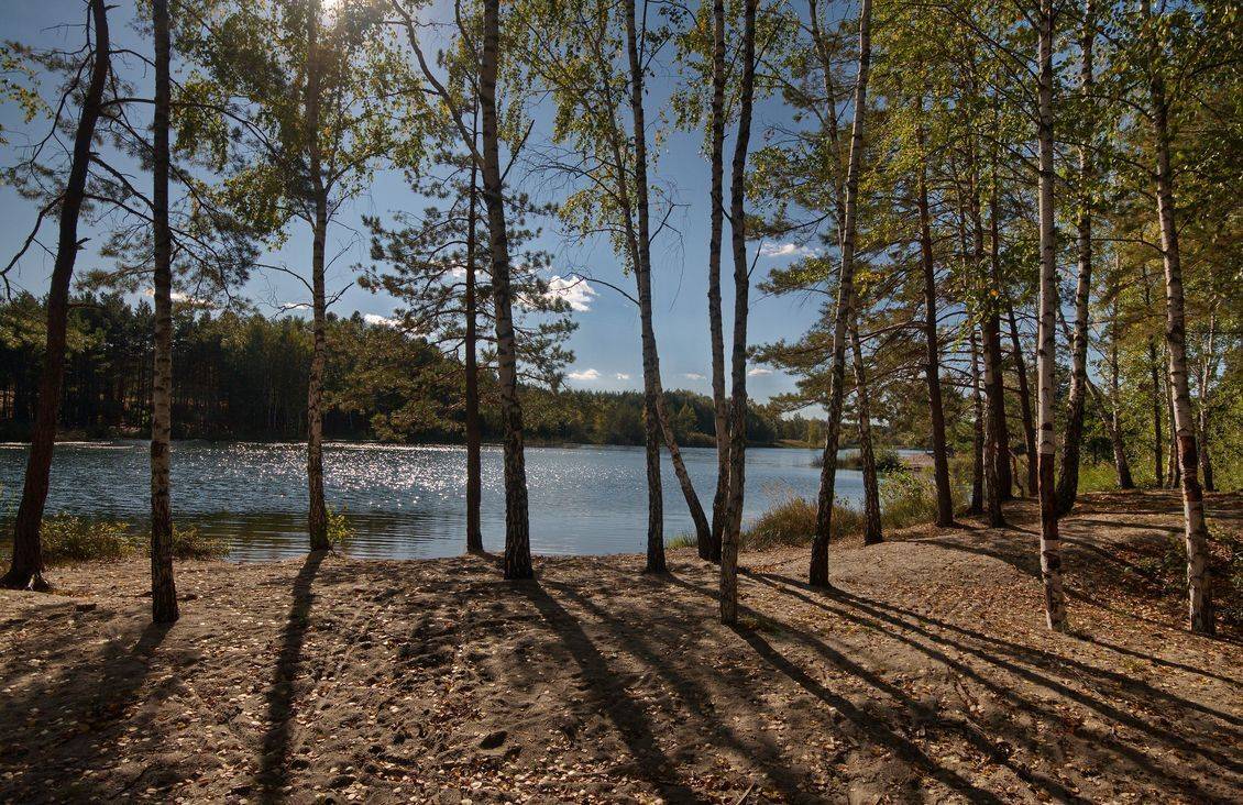 , Володимир Карчевський