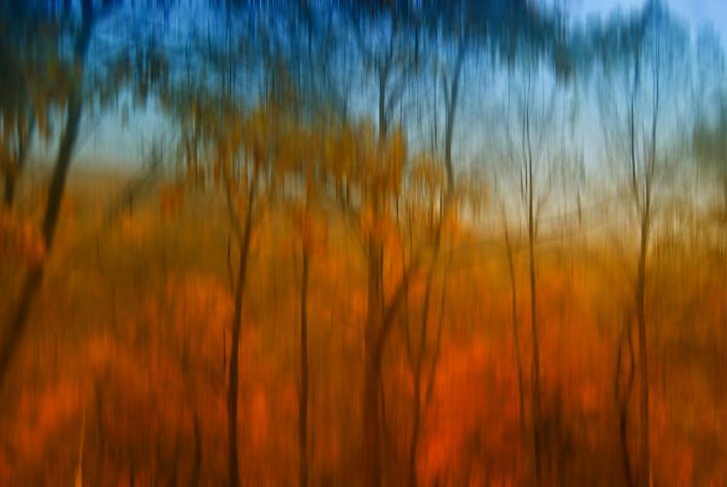 дождь, капали, стекло, осень, краски Утренний дождь рисует по окну фото превью