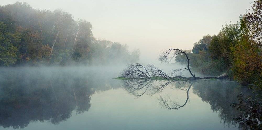 , Сергей Орлик