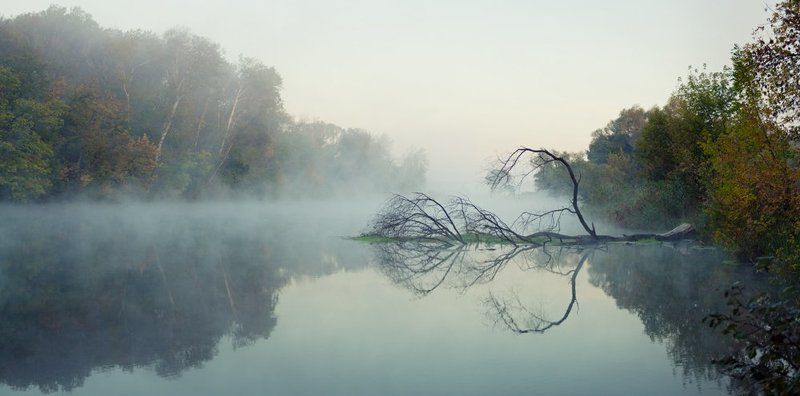 Рождение клинка фото превью