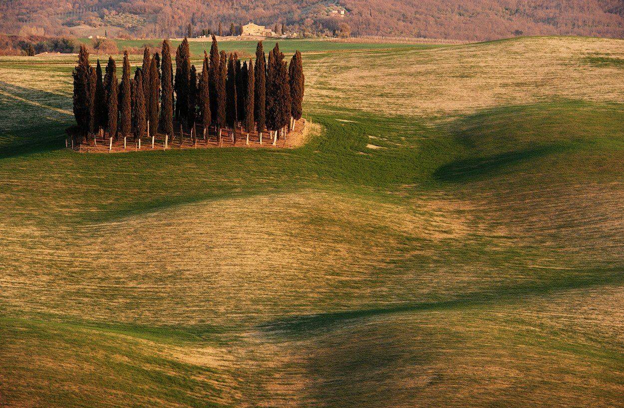 тоскана, Андрей Ведерников