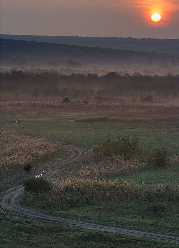 Фото фото превью