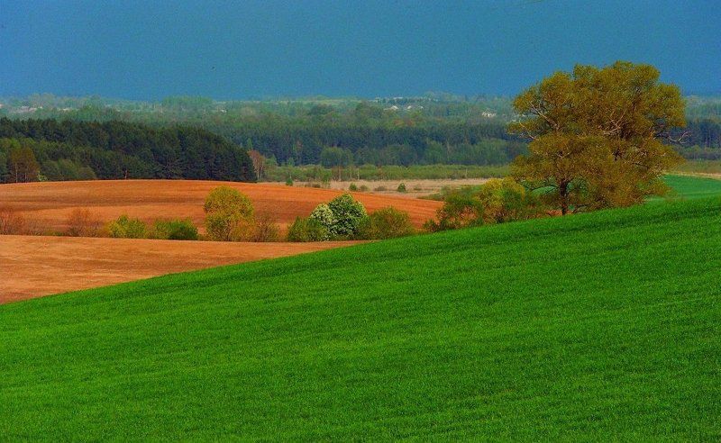Lithuania фото превью