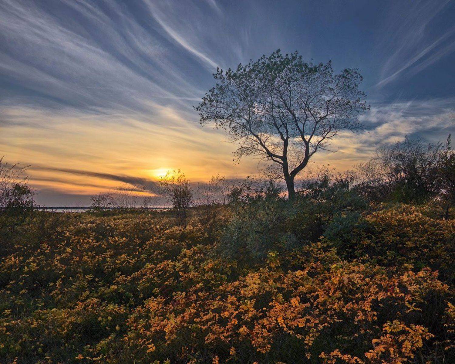 , Олег Иванов