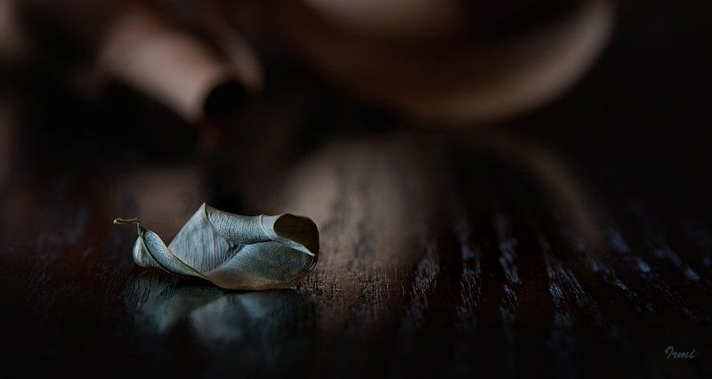 листик, осенний Осень. Листик. фото превью