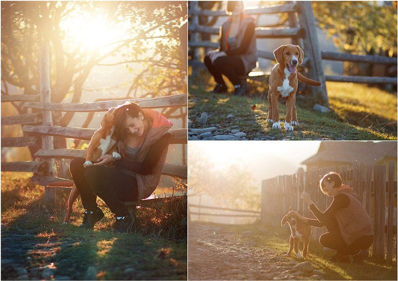 Дружба фото превью