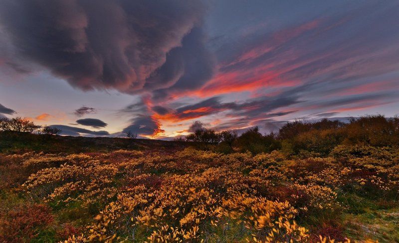 осенняя палитра фото превью