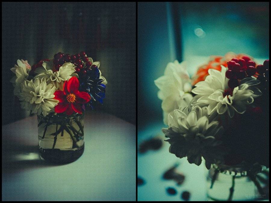 , Мария Мальгина