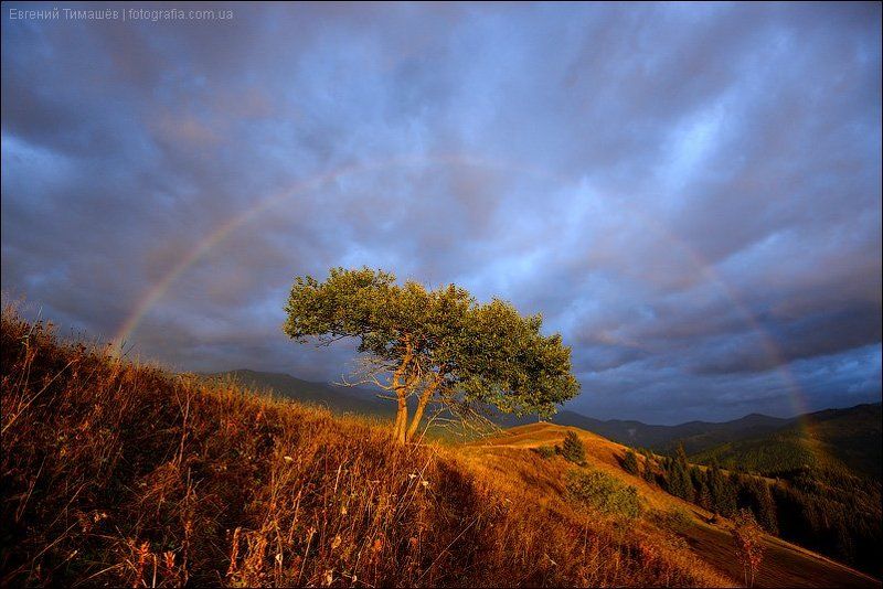 Радуга в Карпатах фото превью
