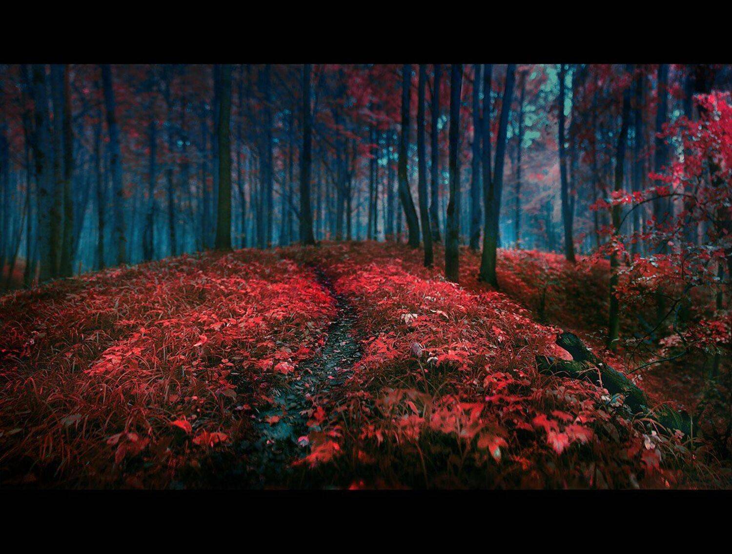 , Сергей Зимин