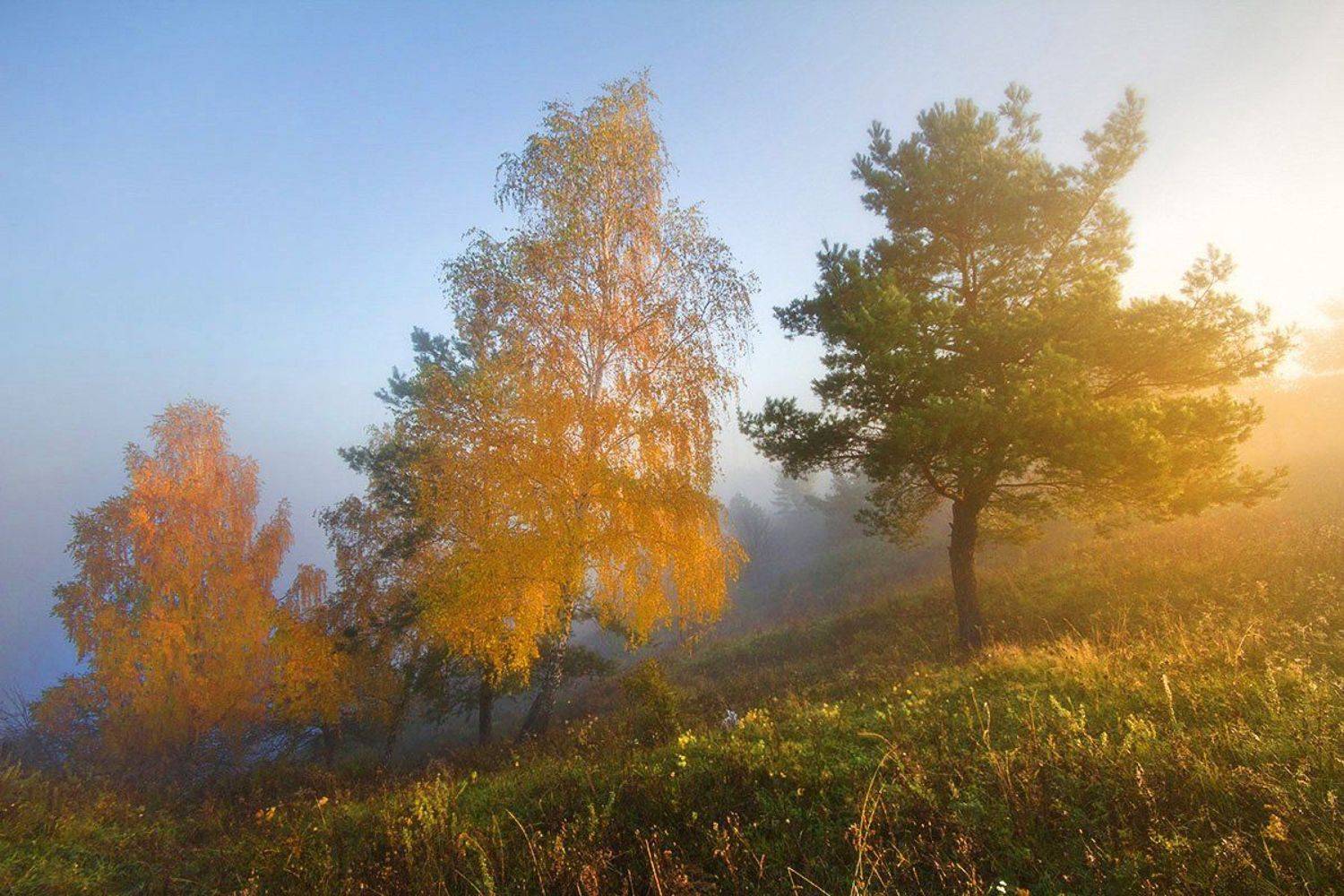 , Артём Маковский