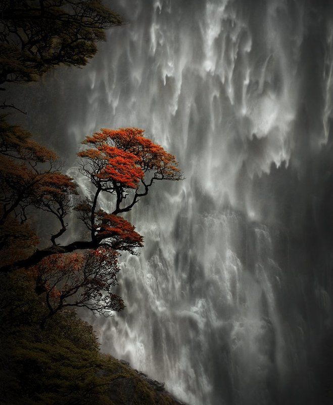 Devil\'s Punchbowl Falls, New Zealand фото превью