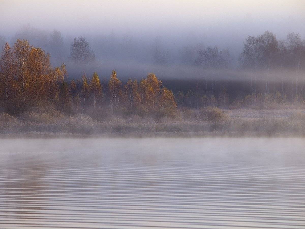 , Марина Брыдня