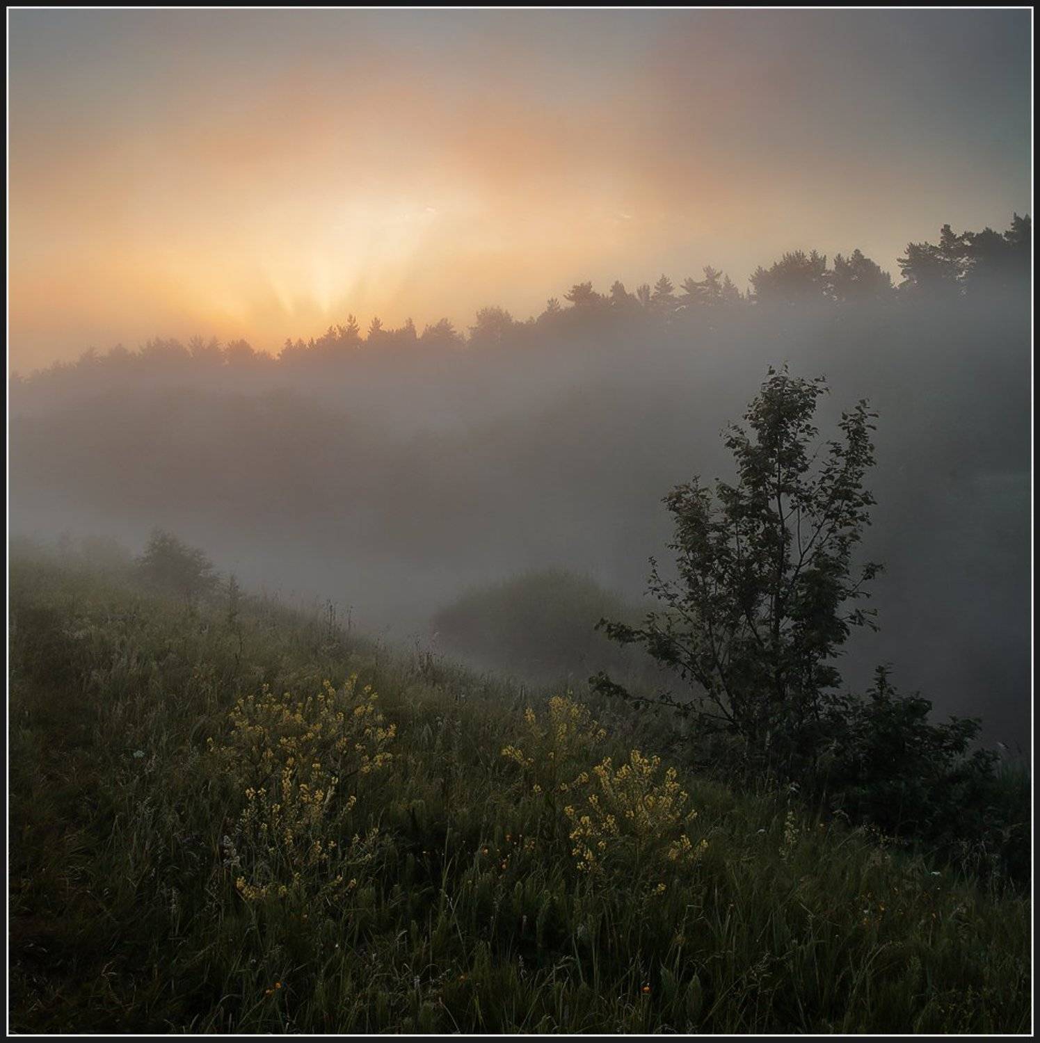 , Олег Дунаев