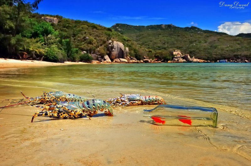 No name фото превью