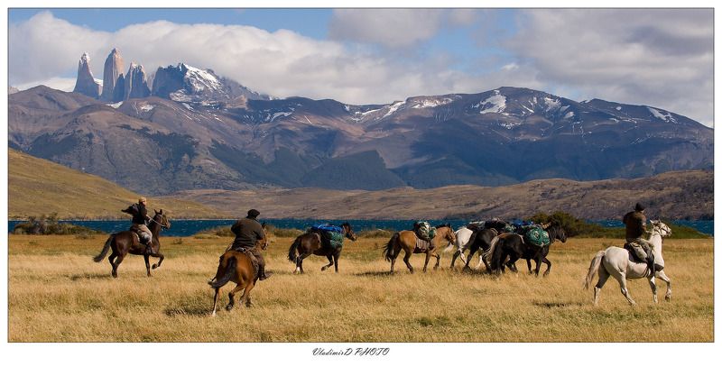 О гордых гаучо, грациозных гуанако и голубом глейсере... фото превью