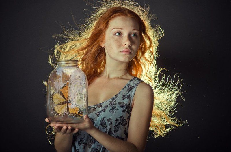 butterfly фото превью