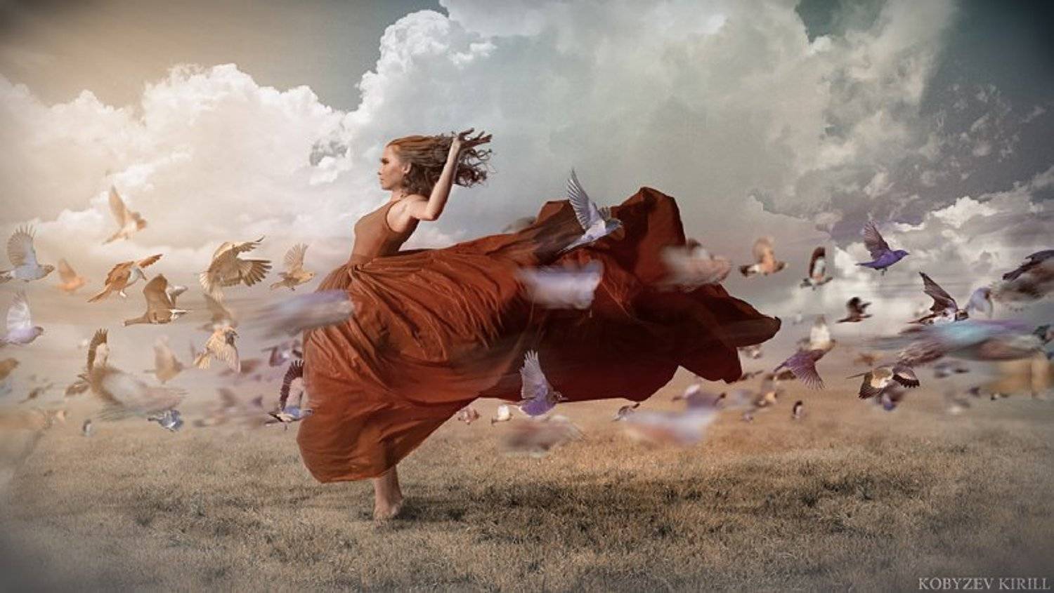 птицы, платье, девушка, коллаж, манипуляции, движение, Кирилл