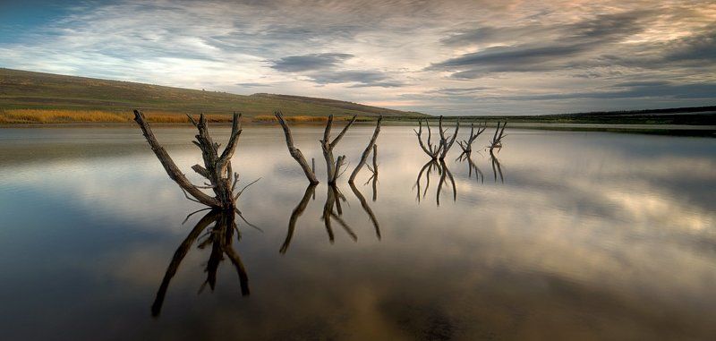4 стадии фото превью