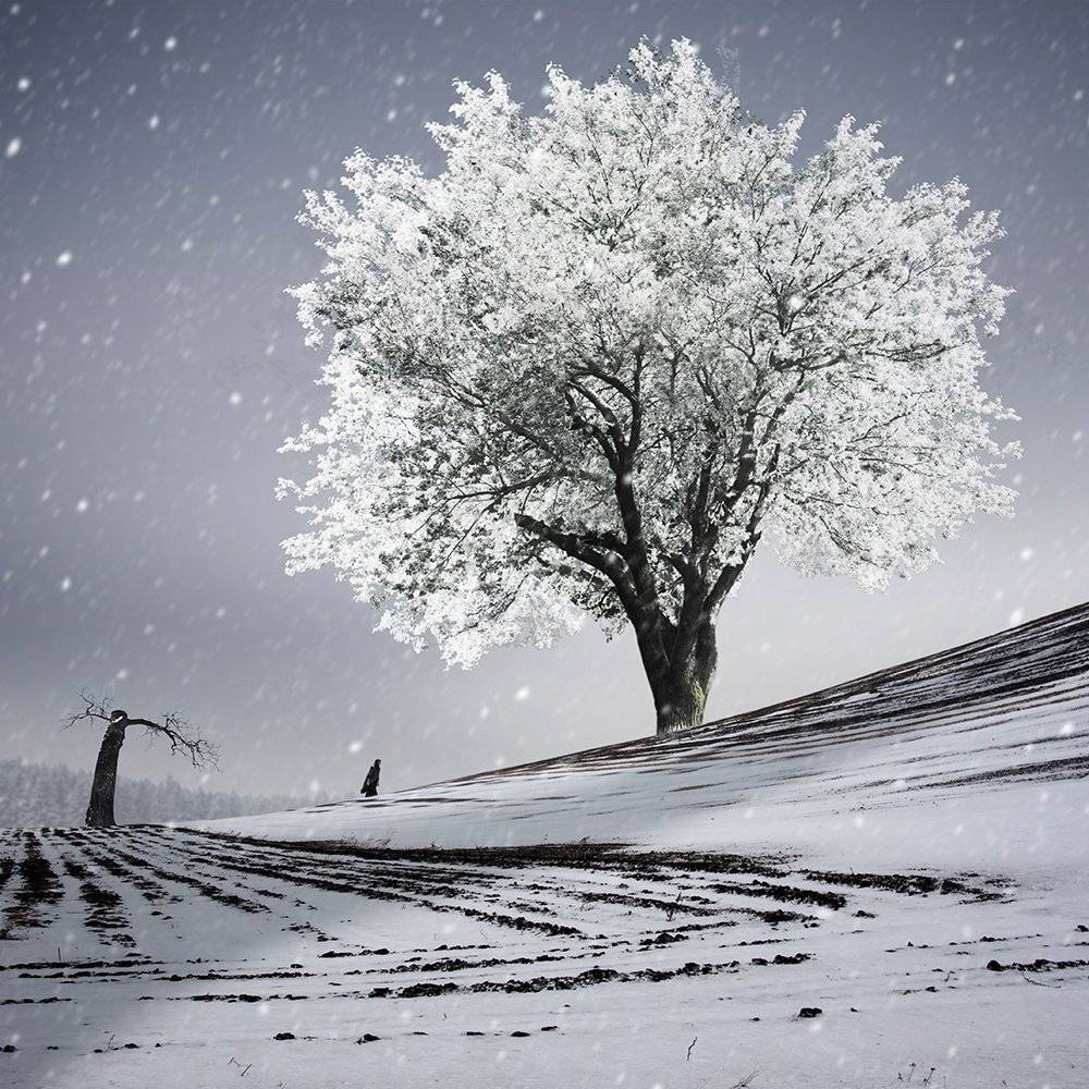 , Caras Ionut