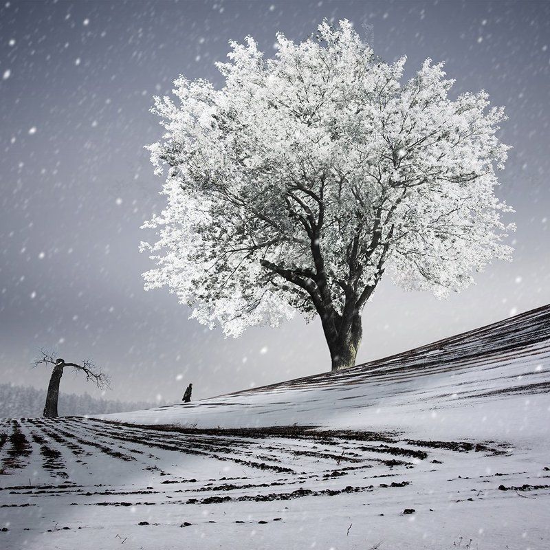 Chasing the winter фото превью