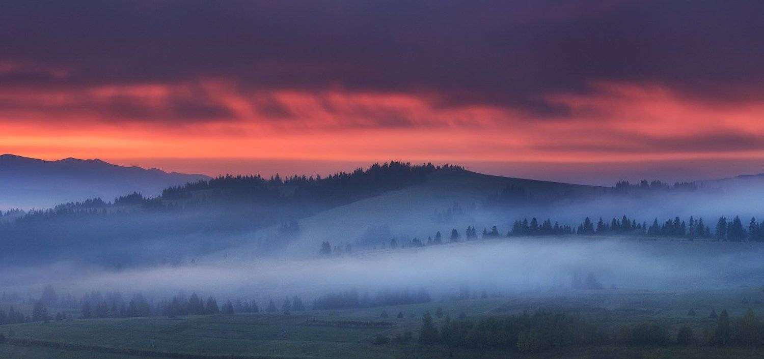 карпаты, утро, рассвет, горы, Алексей Угальников