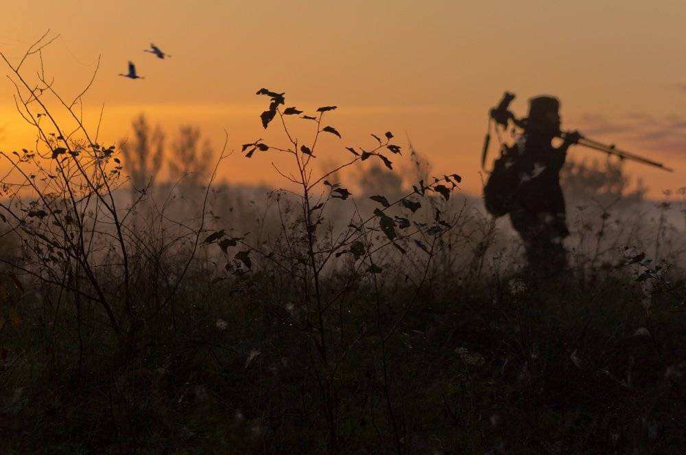 , Сергей Орлик