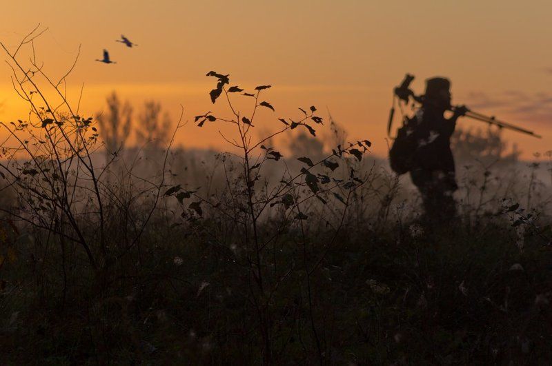 Камо Грядеши фото превью