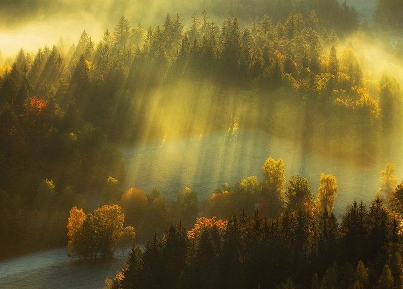 Morning in  glory