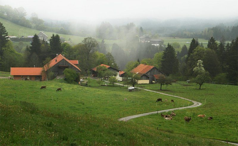 Баварский мотив фото превью