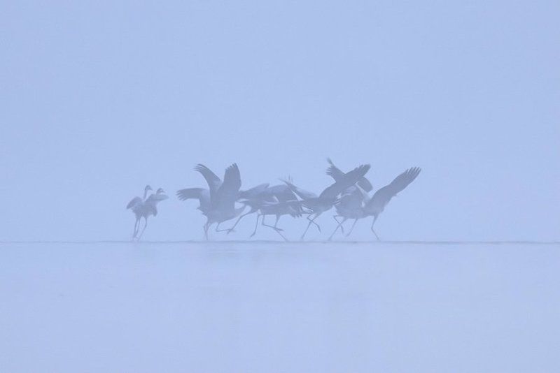 Departures фото превью